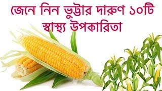 জেনে নিন ভুট্টার দারুণ ১০টি স্বাস্থ্য উপকারিতা  10 health benefits of corn Bangla