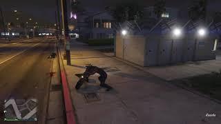 Grand Theft Auto V bug 3