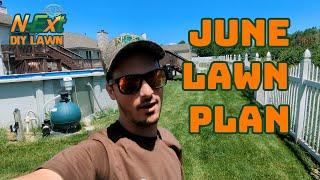 June Lawn Care Plan