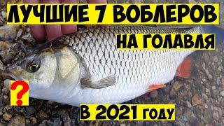 ТОП 7  Лучшие воблеры на ГОЛАВЛЯ в 2021 году Ловля Голавля на Спиннинг Рыбалка на голавля Голавль