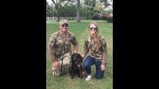 chiefholland boykin spaniel midsouth hunt test 2017 started passes