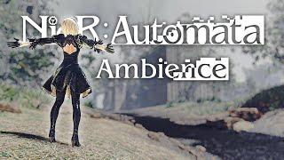 Relax with 2B  NieRAutomata City Ruins Ambience