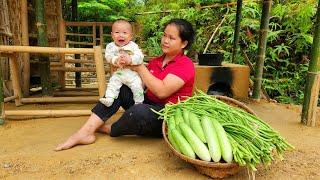 Full video Great single mother raised her child on her own at the age of 14 Harvest beans & melons