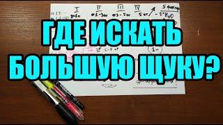 Повадки и места обитания щуки. Где искать трофейную щуку?