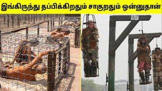 உலகின் ஆபத்தான சிறைச்சாலைகள்  Most Dangerous Prisons In The World  TAMIL AMAZING FACTS  Jails