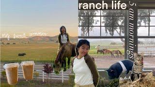 5AM MORNING RANCH ROUTINE
