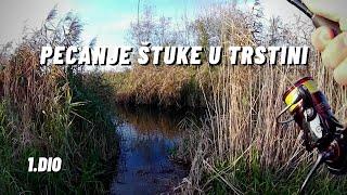 Pecanje štuke između trstine - Pike Fishing in Tall Grass