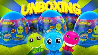 Hatchems Cobi Unboxing  Can you guess whats inside?  Opening  Kids World