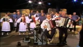 Finkwarder Speeldeel - Hein spielt abends so schön auf dem Schifferklavier 1982