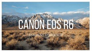 Canon EOS R6  Cinematic Ambient Solo Roadtrip  RF 15-35mm f2.8  4K  log