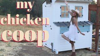 MY CHICKEN COOP & DECORATING MY AIRBNB CABIN