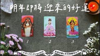 2023明年即將贏來的好運好事祝福?《運勢塔羅占卜》Pick a card｜Angel808天使療癒花園｜獨門真源塔羅｜Mike Wu吳真源老師