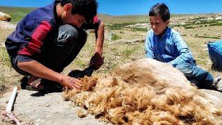 The daily life of a 12-year-old Iranian nomad shepherd and his extraordinary skill in shearing sheep