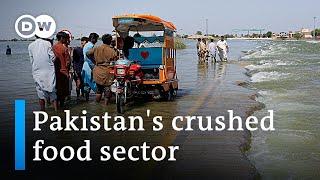 How Pakistans flood catastrophe destroyed the agricultural industry  DW News