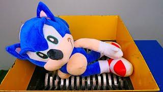 SHREDDING SONIC THE HEDGEHOG