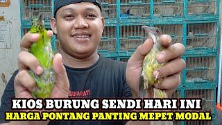 HARGA MEPET MODAL CEK STOK DAN HARGA BURUNG HARI INI DI PASAR BURUNG PRAMUKA KIOS SENDI TERBARU