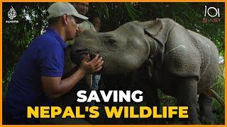 The real story behind Nepal’s wildlife conservation success  101 East Documentary