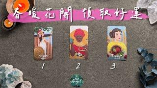 近期春暖花開的好運值得期待的好事是?《領取好運塔羅占卜》Pick a card｜Angel808天使療癒花園｜獨門真源塔羅｜Mike Wu吳真源老師