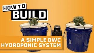 How to Build a Hydroponic System Under $30 - Deep Water Culture Hydroponics