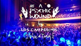 Los Campesinos - A Psychic Wound Official Music Video