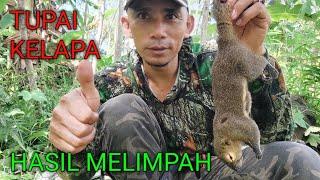 Hunting Tupai Di Bulan Ramadhan_ April 2023