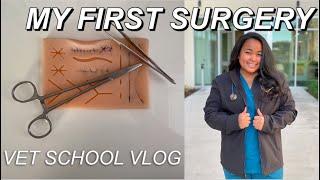 WEEK IN THE LIFE OF A VET STUDENT  completing my first surgery