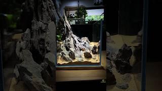 Новый проект нано кубика полное видео по ссылке #aquadream #aquarium #аквариум #aquascape