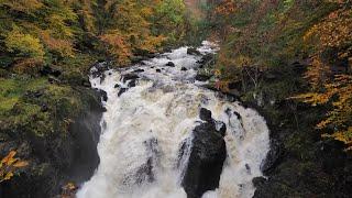 The Hermitage River Walk Dunkeld Scottish Countryside 4K