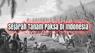 Sejarah Sistem Tanam Paksa Di Indonesia