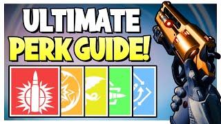 The ULTIMATE Perk Guide For ENDGAME PVE The Best PvE Weapon Perks  Destiny 2 Perk Guide