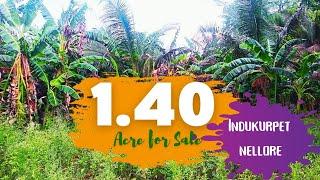 Agriculture Land 1.40 Acre for Sale in Indukurpet Nellore@RealWealthProperties