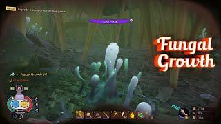 Grounded Guide Fungal Growth Location