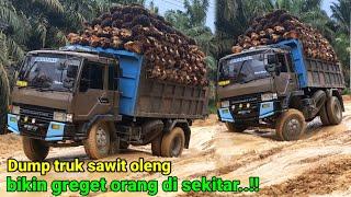 Dump truk sawit oleng bikin greget orang di sekitar..