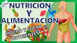 CONCEPTOS BÁSICOS DE NUTRICIÓN Y ALIMENTACIÓN  GuiaMed