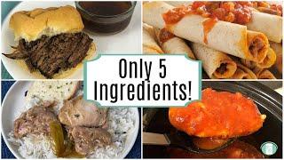 5 Easy Five-Ingredient Freezer Meals  Tasty Meal Prep