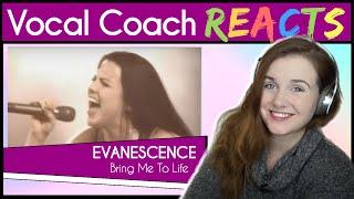 Vocal Coach reacts Evanescence Amy Lee - Bring Me To Life Live