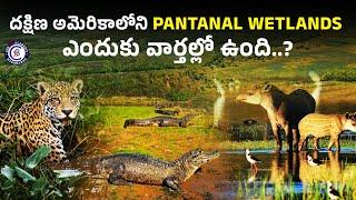 దక్షిణ అమెరికాలోని Pantanal Wetlands ఎందుకు వార్తల్లో ఉంది..? #wetlands #Pantanal #america #news