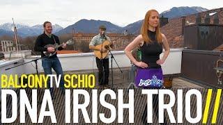 DNA IRISH TRIO - BLACK JACK + MILLY BalconyTV