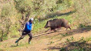 Chasse Sanglier au Maroc Wad rekel   Wild Boar Hunting 2024 Partie 14