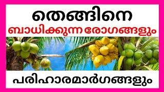 തെങ്ങിനെ ബാധിക്കുന്ന രോഗങ്ങളും പരിഹാരമാർഗങ്ങളും  COCONUT TREE FARMING TIPS