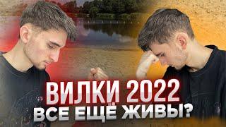 Стоит Ли Начинать Вилковать в 2022?  Букмекерские live вилки на Киберспорт