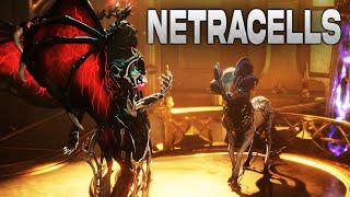 Warframe Netracell Guide - Legendary Melee Arcanes  Tauforged Archon Shards & Adapters