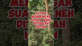 suara dalam hutan