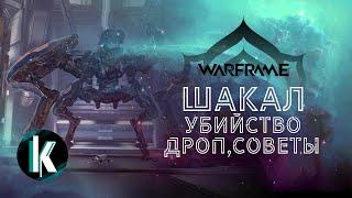 🟡│Убийство Шакала. Награды Советы Процесс Warframe - Video