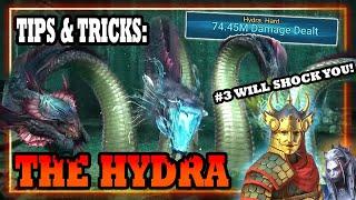 Hydra Tips & Tricks - Easier Than You Think - Raid Shadow Legends