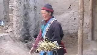 Tibetan Womans life