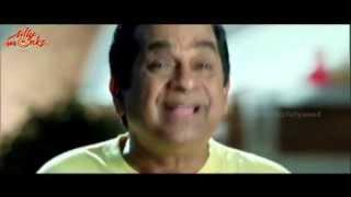 Loukyam Theatrical Trailer  - Gopichand Rakulpreet Singh Hamsa Nandini  Silly Monks