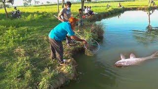 দেখুন গ্রামের ছোট পুকুরে রুই মাছ খেলানো