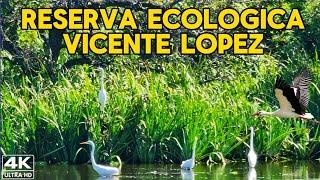 【4K】EXPLORÉ La Reserva Escondida de Vicente López La Lucila Walking Tour Buenos Aires