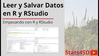 Leer y Salvar Datos en R y RStudio